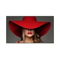 55BDL4650D 55" Philips D-Series Display