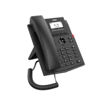 X301P