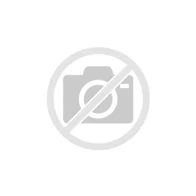 GrayMatter BrainBox for PBXact