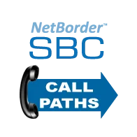 SBC Netborder 250 Call Upgrade Kit