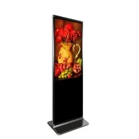 55" Floor Stand Digital Signage Display, Built-in Android, One year AnySignage CMS included